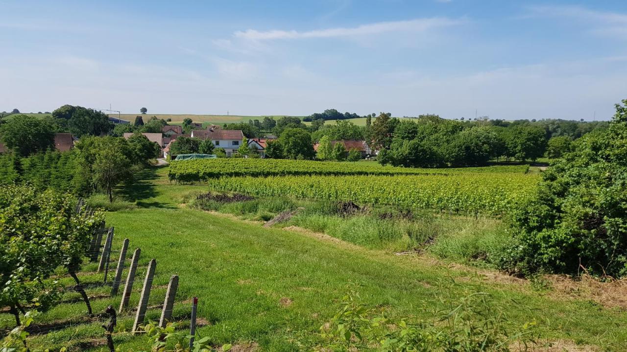 Haus Rebenblick Leilighet Dierbach Eksteriør bilde