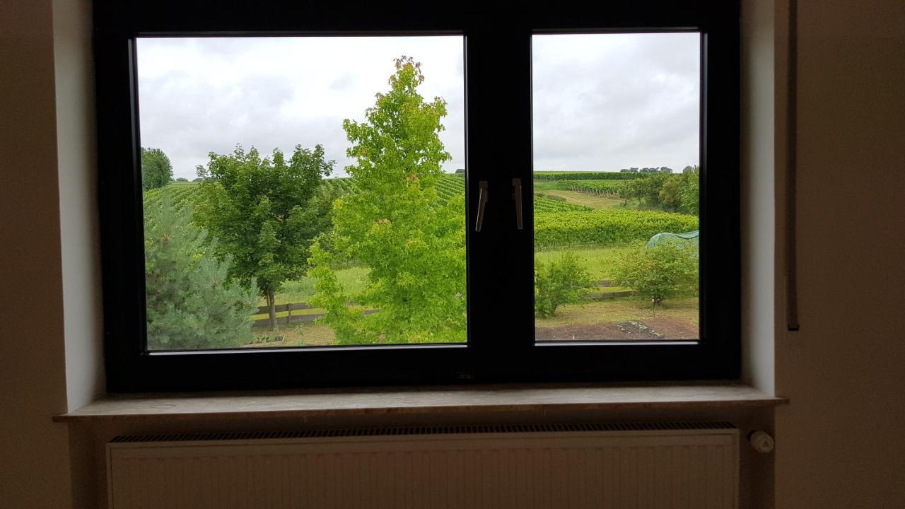 Haus Rebenblick Leilighet Dierbach Eksteriør bilde